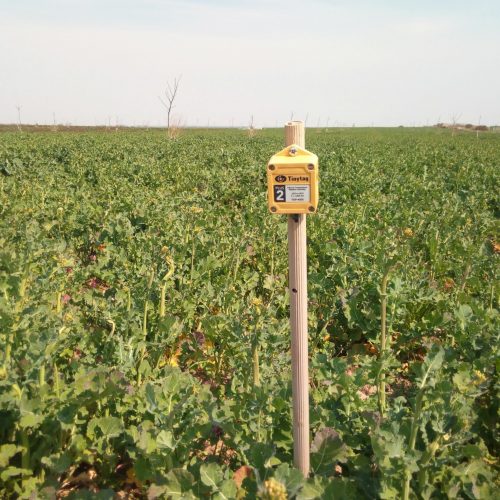 instrument za mjerenje temperature i vlage zraka